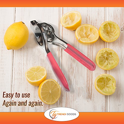 Lemon Zester Nutmeg Grater Lemon Lime Squeezer Stainless Steel Kit by Trendi Goods No Pulp No Seeds Dishwasher Safe Non Slip Handles Razor Sharp Zester