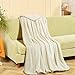 RISAR Flannel Luxury Throw Size Blanket Soft Warm Cozy Plush Throw Fuzzy Microplush Lightweight for Bed Sofa Couch 50 by 60 Inches,Ivory