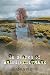 In Search of Brigid Coltrane by