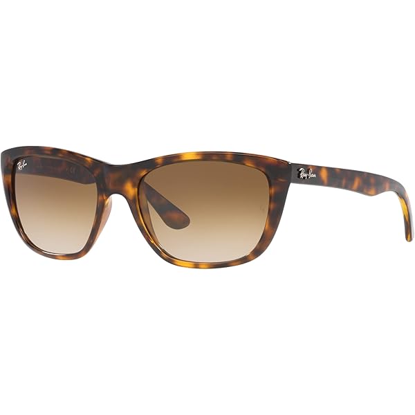 Ray-Ban EMMA ブラウン美品 RB4167 710/13 RB4167 Sunglasses in Light Havana and Brown - RB4167 | Ray-Ban® US