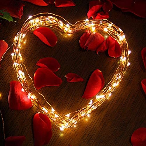 Goodia Copper Wire String Lights, 33ft 100 Micro LEDs Solar Firefly Lights Waterproof Decorative Lighting, Warm White