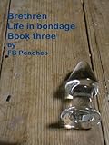 Brethren, life in bondage. Book three. (Brethren life in bondage 3)