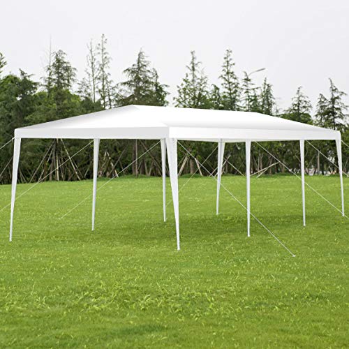 oldzon 10'x30' Canopy Party Wedding Tent Heavy Duty Gazebo Cater Event W/Side Walls with Ebook