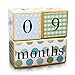 Natural Solid Wood Milestone Age Blocks (Multi-Color), Baby Age Photo Blocks