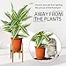 Mid-Century Plant Stand by ZERLA, Bamboo Wood Flower Pot Holder Display, Up to 12 Inch Planter – Planter Not Includedthumb 1