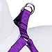 Blueberry Pet Essentials Step-in Dog Harness, Large Size | Adjustable Dark Orchid Vest | Classic Solid Nylon for Boy & Girl Dogs, Chest Girth 26