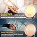 Venanoci Alarm Clock, Homagical Wake-Up Light Alarm Clock with Colored Sunrise Simulation & Sunset Fading Bedside Night Lamp, Dual Alarms, 7 Natural Sounds, Snooze, FM Radio for Adults Kids Bedrooms