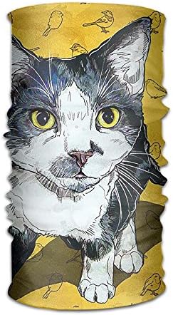 Headwear Headband Pet Pop Art Head Scarf Wrap Sweatband Sport Headscarves For Men Women