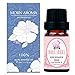 Rose Geranium 100% Pure Therapeutic Grade Essential Oil by Morn Aroma -10 ml. Undiluted