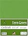 Clear Path Paper Fern Green Cardstock - 8.5 x 11 inch - 65Lb Cover - 50 Sheets
