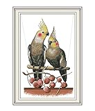 Printed Cross Stitch Kits 11CT 15X21 inch 100% Cotton Holiday Gift DIY Embroidery Starter Kits Easy Patterns Embroidery for Girls Crafts DMC Stamped Cross-Stitch Supplies Needlewor Two Parrots