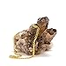 Lifetime Jewelry 5mm Cuban Link Chain - Gold Necklace for Women Men Teen Girls & Boys - 20X More 24k Real Gold Than Other Plated Miami Curb Links - Free Lifetime Replacement Guarantee 16-30 inches