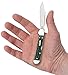 Case WR XX Pocket Knife Pocket Worn Bermuda Green Mini Copperlock Item #9723 - (61749L SS) - Length Closed: 3 5/8 Inches