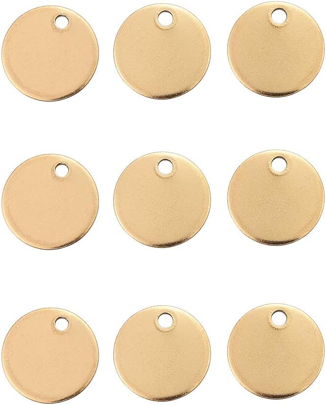 DanLingJewelry 100Pcs 304 Stainless Steel Blank Stamping Tag Flat Round Charms Pendants for Bracelet Earring Necklace 12x1mm