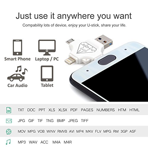 4 in 1 Flash Drive 64 GB for iPhone X 8 7 6s 5s iPad, USB C Thumb Drive for Samsung Galaxy S10 S9 S8, USB Flash Drive for Samsung Galaxy 7 Android Phone, USB 3.0