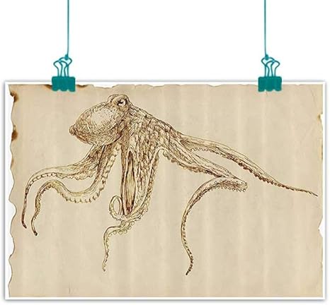 Amazon タコの装飾コレクション 壁アート装飾 ポスター ペイント 海洋 野生動物プリント 動物 触覚 タコ イカ エビ 海 自然 装飾 装飾 ホームデコレーション ブラック ホワイト 32 Wx24 L アートフレーム ポスター オンライン通販
