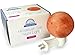 Dream Salts Himalayan Salt Nursery Night Light / Crystal Rock Decor / Natural Air Purifier (Sphere)