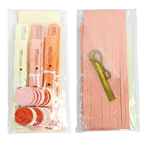 20 Pcs Summer Sunny Day Hangings Wedding Favors Decorations Kit with Tissue Flowers Tassel Hangings and Citcle Dots Garlands Baby Shower Birthday Party Decorations