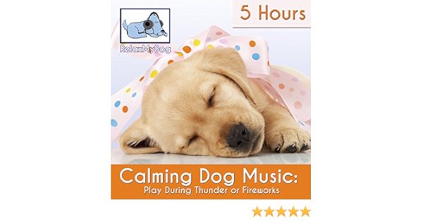 relaxing music for dogs during thunderstorms