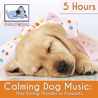 play calming music for dogs