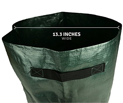 Potato Planter Bags - Garden Tub for Vegetable Growing with Flap Access - 2 Pack - Thumbnail 3