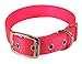 Hamilton Double Thick Nylon Deluxe Dog Collar, 1 by 24-Inch, Hot Orange
