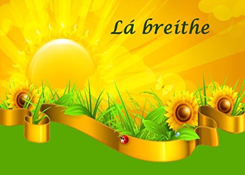 Golden Sunflower. An Irish language Birthday Card. The message inside the card reads "Lá breithe sona duit"