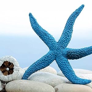 Beach Treasures