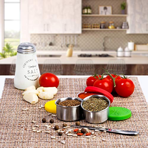 Stainless Steel Condiment Containers Set4 Reusable Condiment Mini