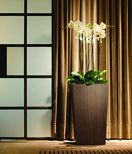 Hobby Blume Natura Pflanzkasten, rechteckig mit autoriego, dunkel, 86 x 47 x 46 cm – Bild 4