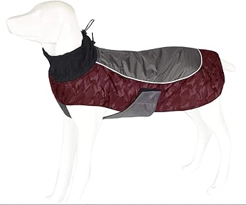 amazon uk dog coats