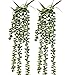 Supla 2 pcs Artificial Hanging Long Succulents Faux Burro's Tail Picks Trailing String of Pearls Succulent Vines Greenery 28.7