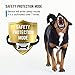 Bark Collar [2018 Smart Chip] Dog Shock Anti-Barking Collar with Beep, Vibration and Harmless Shock. No Bark Control for Small/Medium/Large Dogs with 7 Sensitivity Levels, Rechargeable and Rainproof