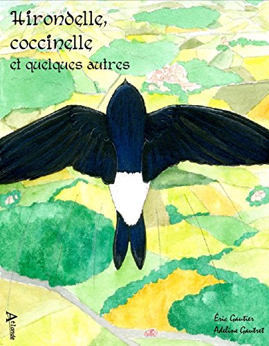 Hirondelle, coccinelle et quelques autres