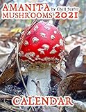 Amanita Mushrooms Calendar: Illustrated Calendar
