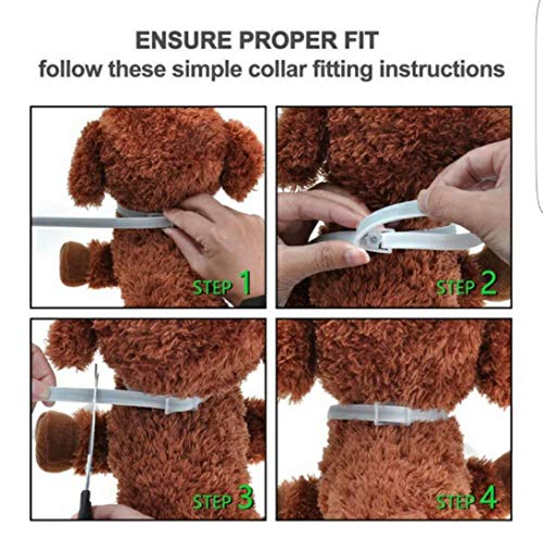 image for Maxtry 2 Pack Flea and Tick Control Adjustable Waterproof Collar Prote