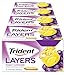 Trident Layers Grape & Lemonade Sugar Free Gum, Lemonade Gum, 12 Packs of 14 Pieces (168 Total Pieces)
