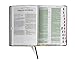 KJV Rainbow Study Bible, Brown/Pink LeatherTouch, Indexed
