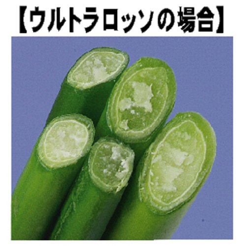 Flower Scissors FLOWERIST URUTRAROSSO MF-8000W