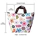 eBoot Waterproof Lunch Bag Tote Insulated Cooler Carry Bag for Travel and Picnic, Colorful Flower
