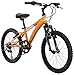 Diamondback Bicycles Cobra Kid's Mountain Bike, 20