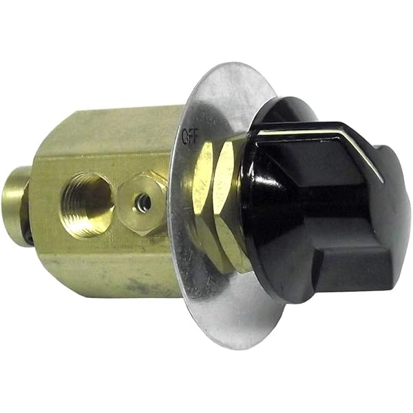 Amazon.com: 90554615PTP 3-Way Pilot Valve Direct replacement for 