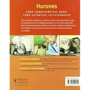 Hurones/ Ferrets: Sanos y felices/ Healthy and Happy (Mascotas en casa/ Pets at Home) (Spanish Edition)