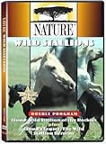 Cloud: Wild Stallions of the Rockies / Cloud's Legacy: The Wild Stallion Returns (Double Feature)