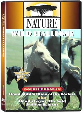 Watch The Wild Stallion HD 1080P