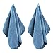 POLYTE Quick Dry Lint Free Microfiber Hand Towel, 16 x 30 in, Set of 4 (Blue)