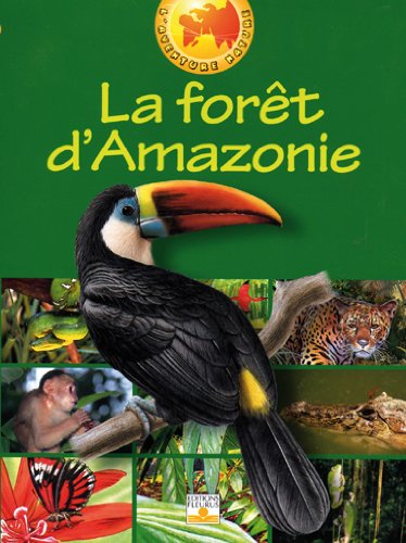 La  forêt d'Amazonie