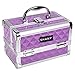 SHANY Chic Makeup Train Case Cosmetic Box Portable Makeup Case Cosmetics Beauty Organizer Jewelry storage with Locks, Multi trays Makeup Storage Box with Makeup Mirror - Purple