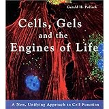 Cells, Gels and the Engines of Life