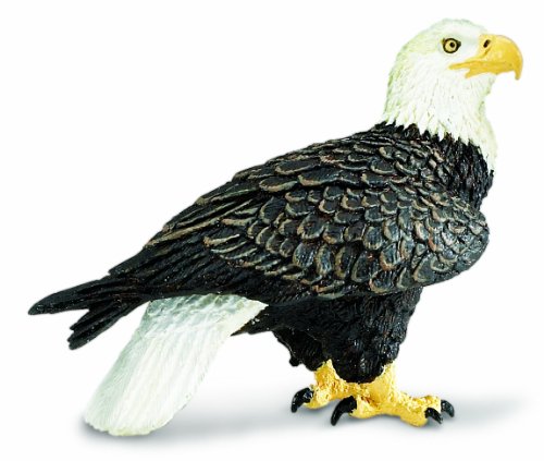 Safari Ltd  Wings of the World Bald Eagle